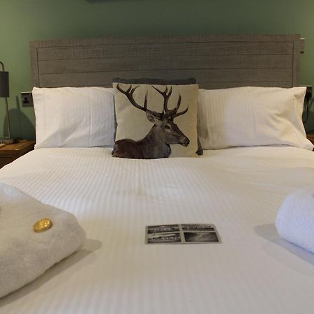 The White Lion Bed & Breakfast Ventnor Dış mekan fotoğraf